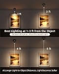EZVALO Wireless LED Spotlights Indoor, 5500mAh Rechargeable Battery Powered Plant Spotlights Indoor, Dimmable & Timer, 3 CCT Small Up Lights with Remote, Accent Uplighting for Artwork, Tree (Black)