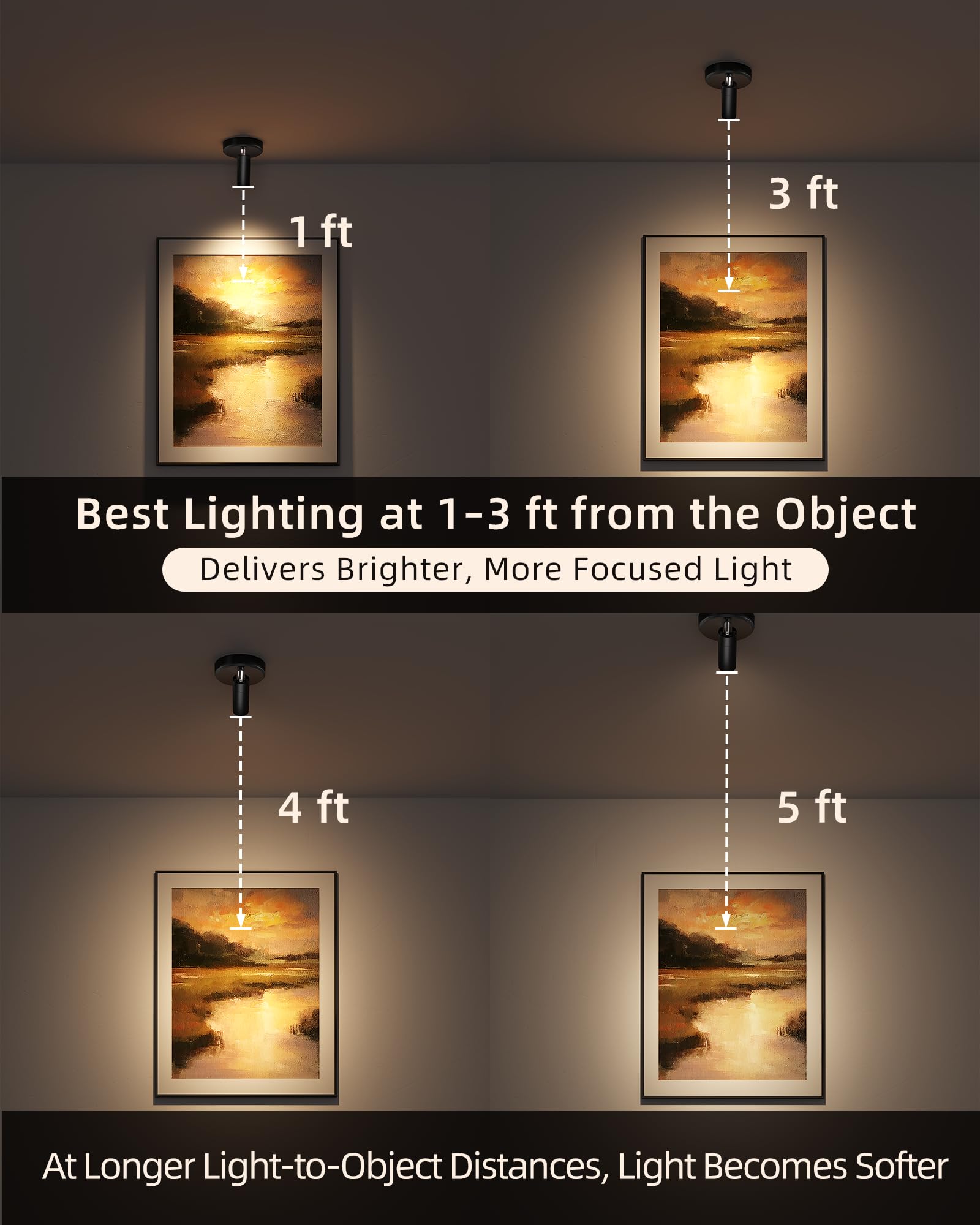 EZVALO Faretti per interni con telecomando, 5500 mAh, luci per immagini ricaricabili a LED, wireless con timer e dimmerabile, 3 CCT, luci di visualizzazione per pittura di piante, opere d'arte