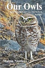 Our Owls: Burrowing Owls in Cesar Chavez Park, Berkeley