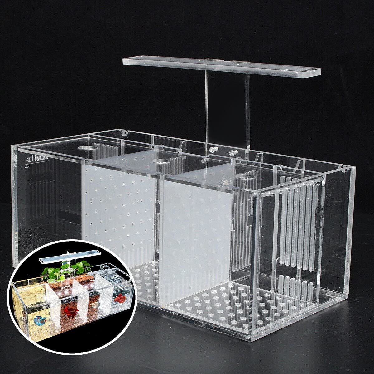 Amazon | Adjivecct 水族館LEDアクリルベタ魚タンクセット ミニ 