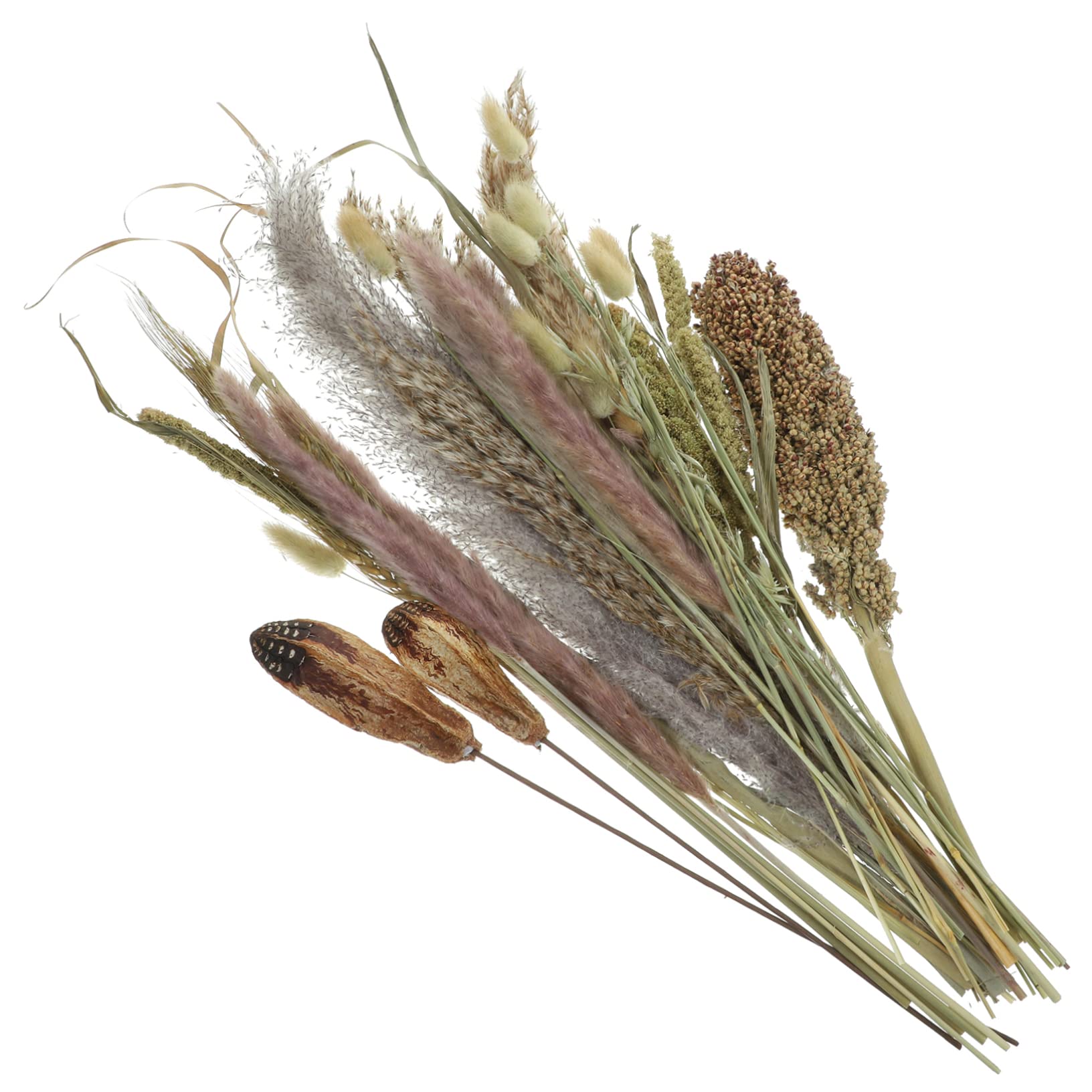 ULTECHNOVO 2stücke Deko-pflanzenstrauß Getrockneten Pampas Und Naturbelassenen Pflanzen Für Boho-Dekoration Hochzeiten Und Kreative Arrangements Bundle