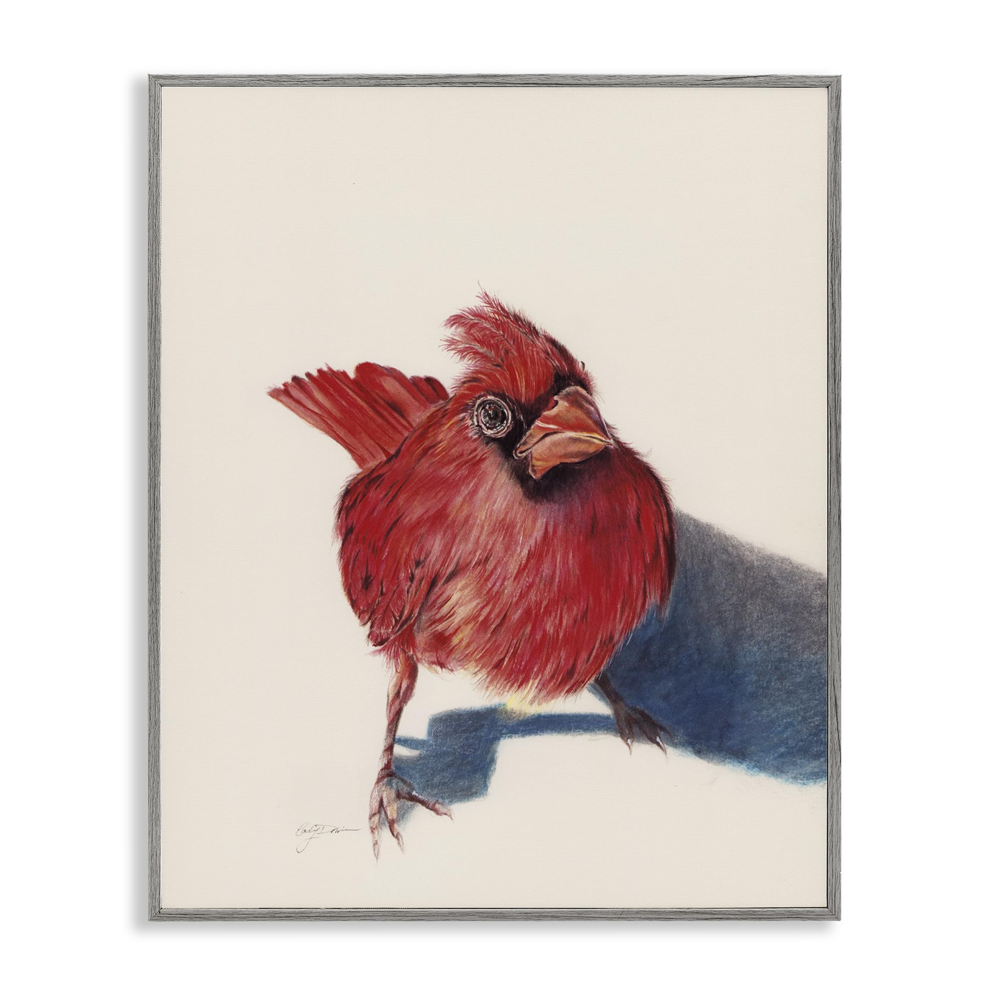 Stupell Industries Standing Cardinal Bird Black Framed Giclee Art, design by Cady Driver, 20 x 16