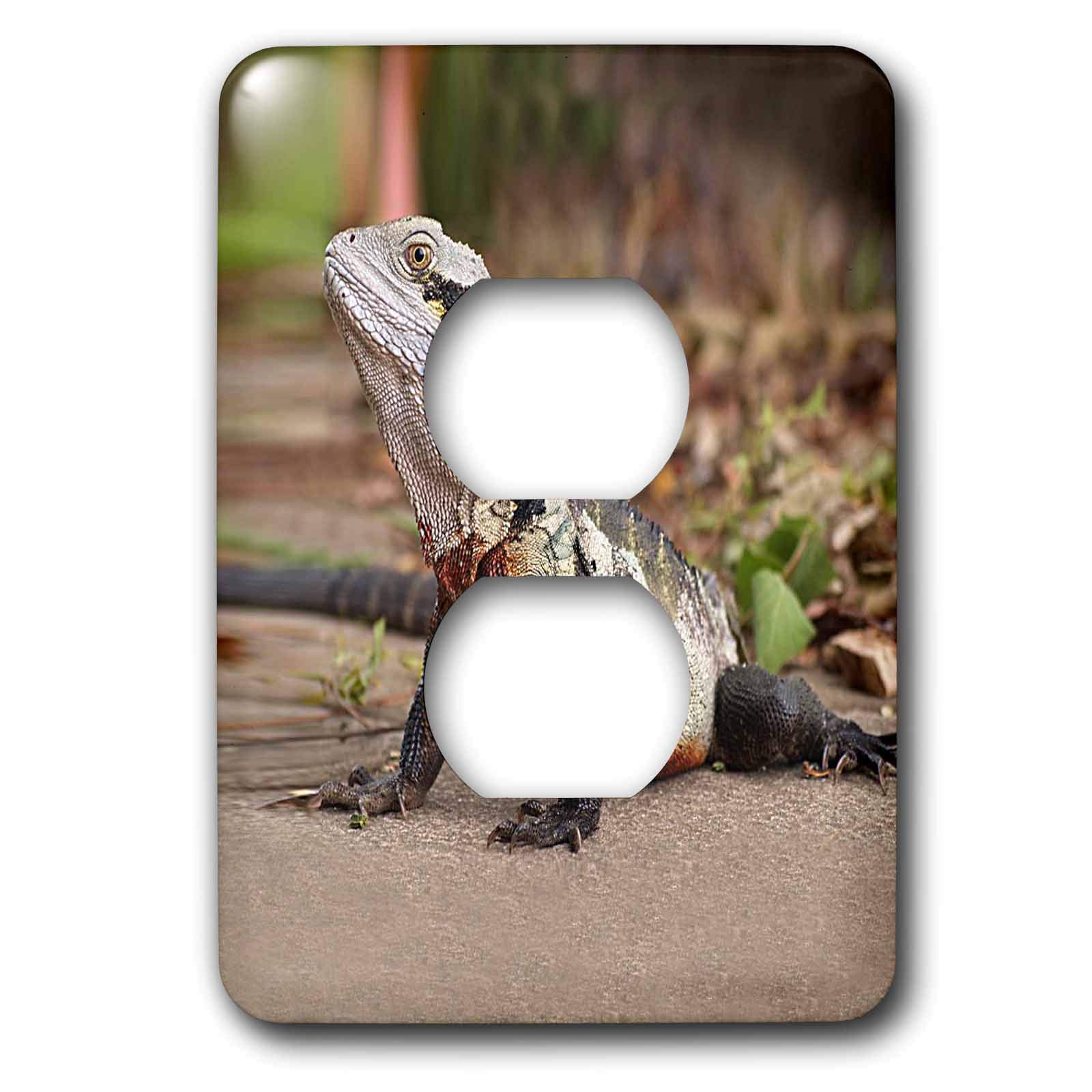 Water Dragon 2 prise de courant 3dRose plaque murale double decorative haute definition
