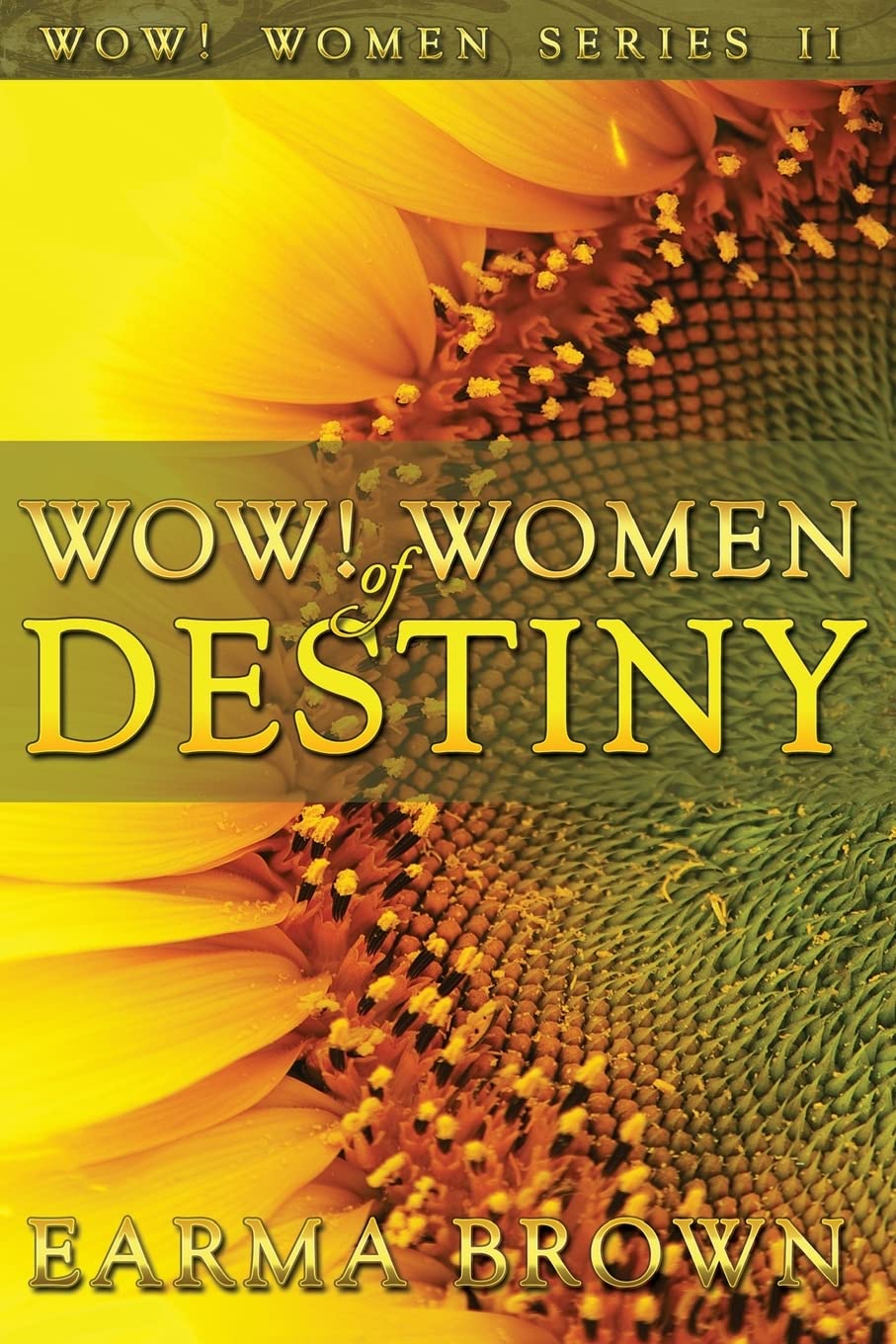 WOW! Women of Destiny: How To Create A Life Full Of Passion, Purpose And Power In God: Volume 2 (WOW! Women Series)