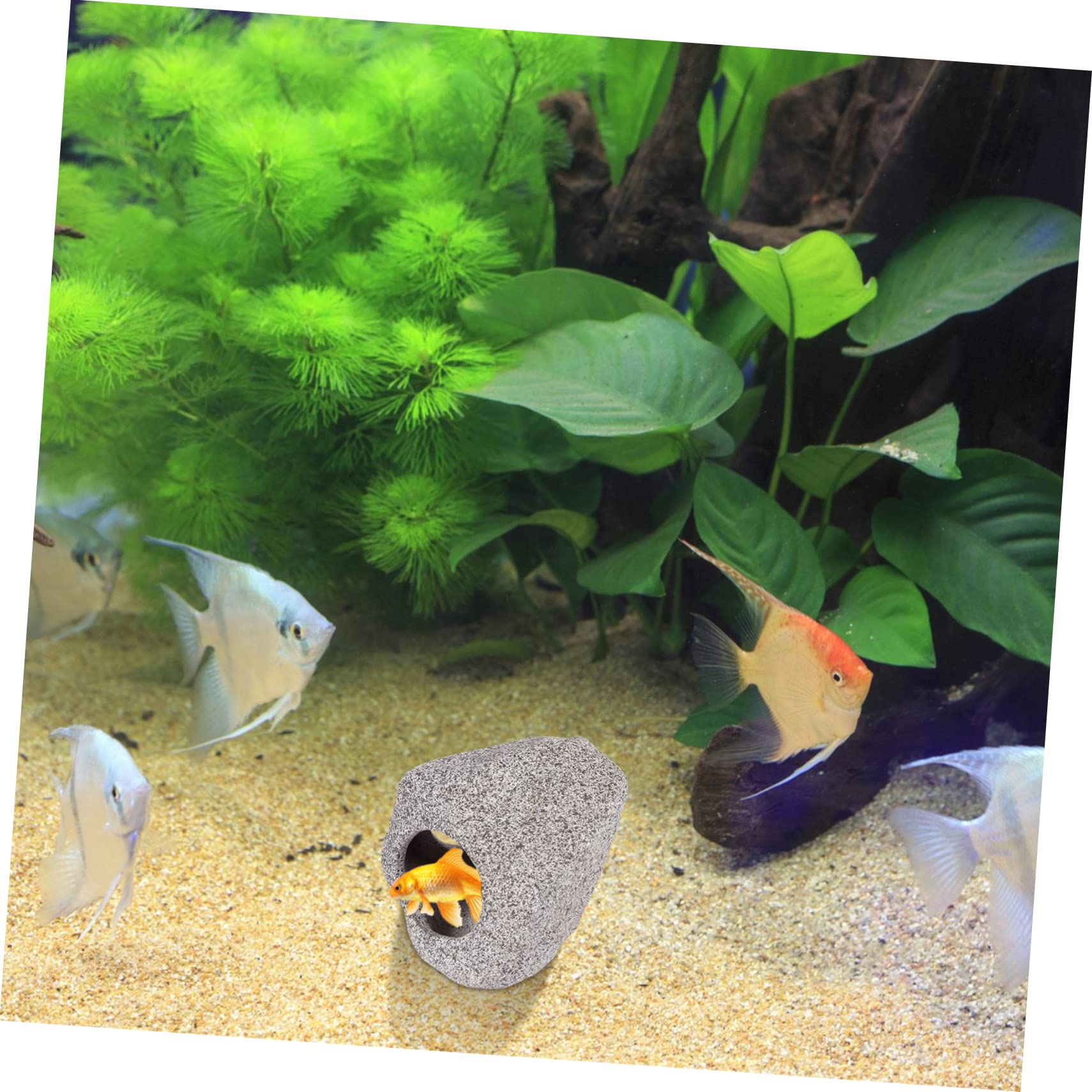 Sosoport 3stücke Versteck Für Fische Keramische Hiding Cave Für Aquarien Dekoratives Ornament Für Zierfische Und Langlebig Für Zucht Spiel Und