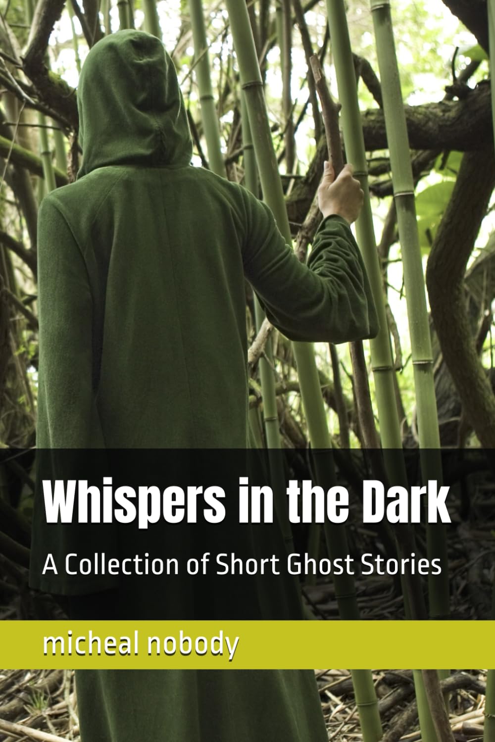 Whispers in the Dark: A Collection of Short Ghost Stories