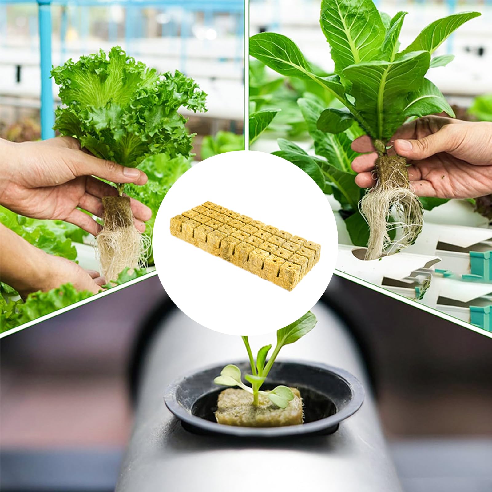 72 Pezzi Cubetti di Lana di Roccia, Rockwool Grow Cubes, Cubetti Lana di Roccia Ldroponica, 3 X 3 X 4cm, per Il Trapianto di Cultura Soilless