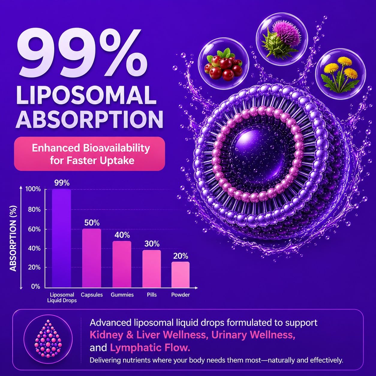 35-in-1 Kidney & Liver Cleanse Detox & Repair Drops, Lymphatic Drainage — Amazon image 5