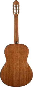 Delta WoodsTM CNS-1TM Classical Nylon String Guitar