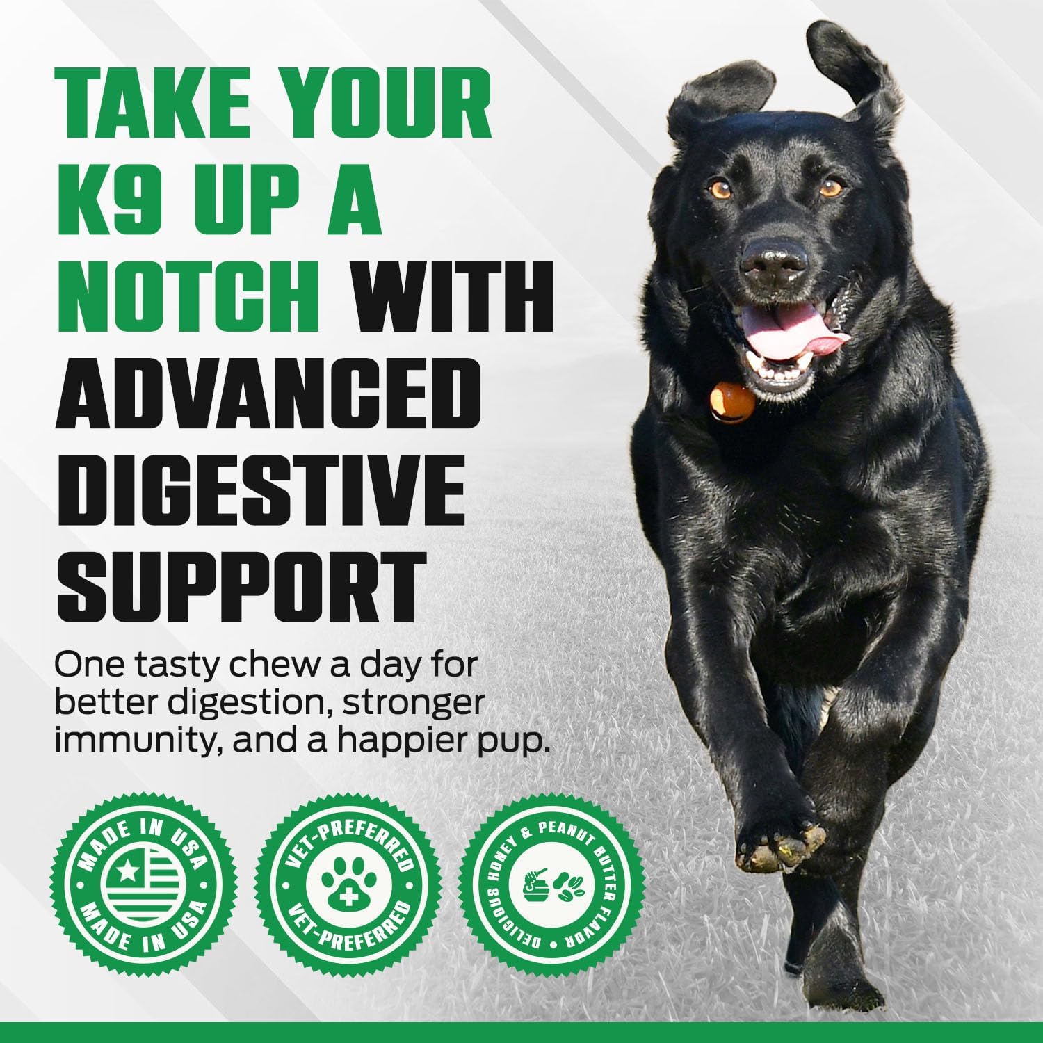 K10 Probiotic Chews for Dogs (60ct) – Advanced Digestive Support with Probiotics, Prebiotics & Superfoods – Vet-Preferred Dog Supplement for Digestion, Immunity, Skin, Coat & Everyday Vitality