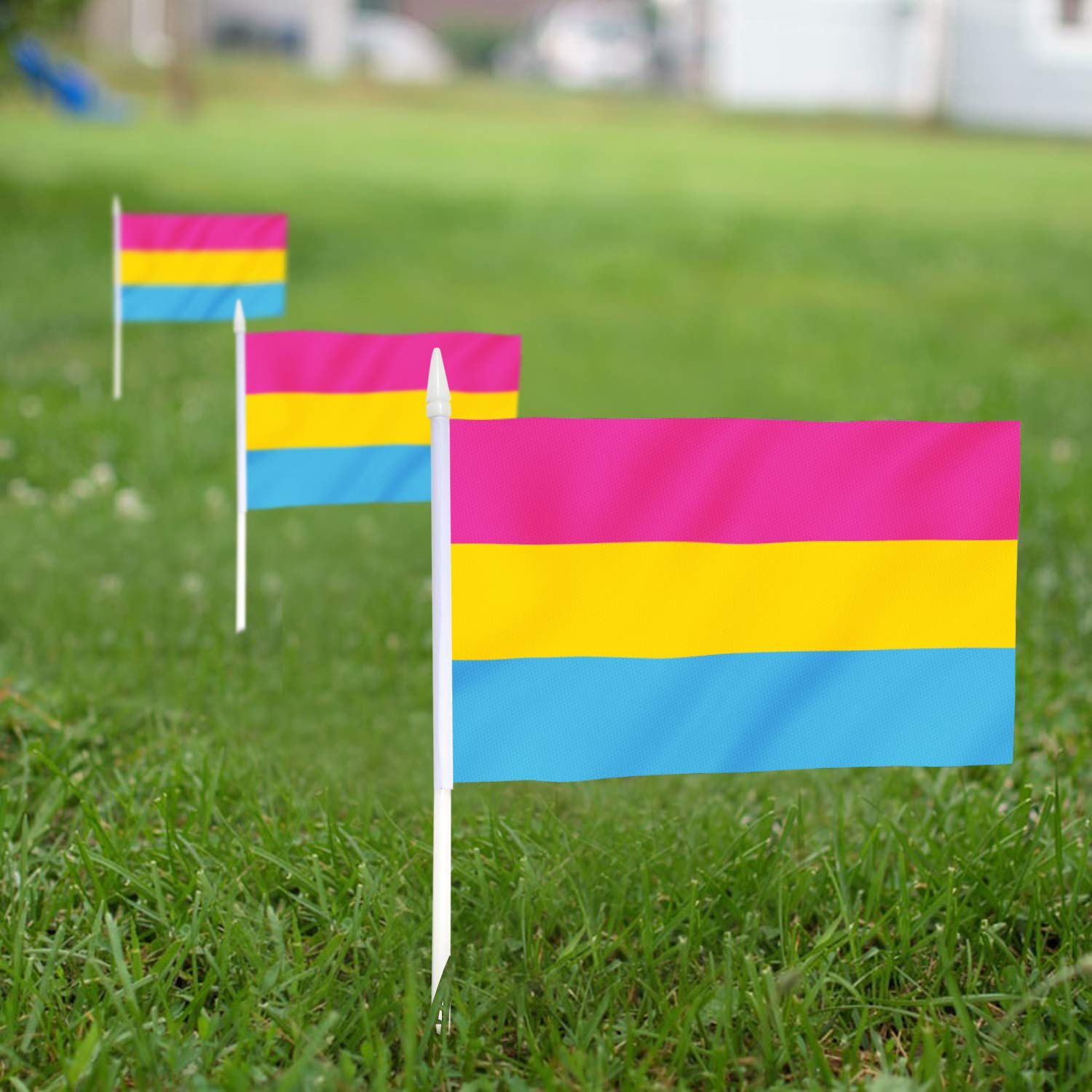 Anley Transgender Trans Pride Deluxe Set di bandiere da scrivania - Bandiera da tavolo in miniatura 6 x 4 pollici con asta solida da 12 - Colore vivido e resistente allo sbiadimento