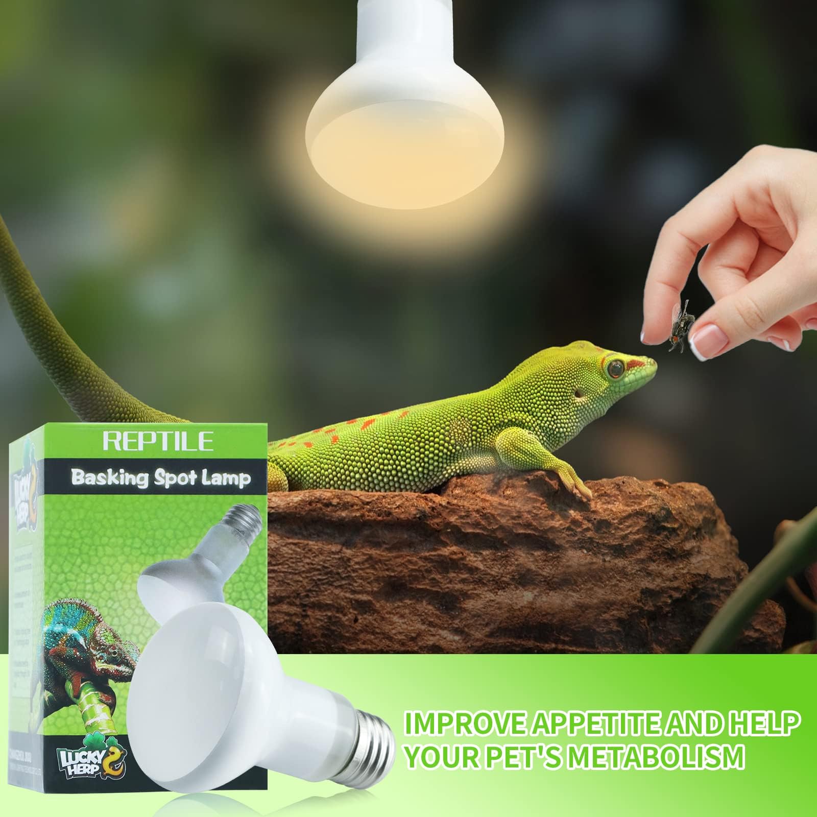 LUCKY HERP Bombilla de calor para reptiles, 2 unidades, 50 W, para tortuga, D3, E27, lámpara para lagarto, serpiente, pollo, perro