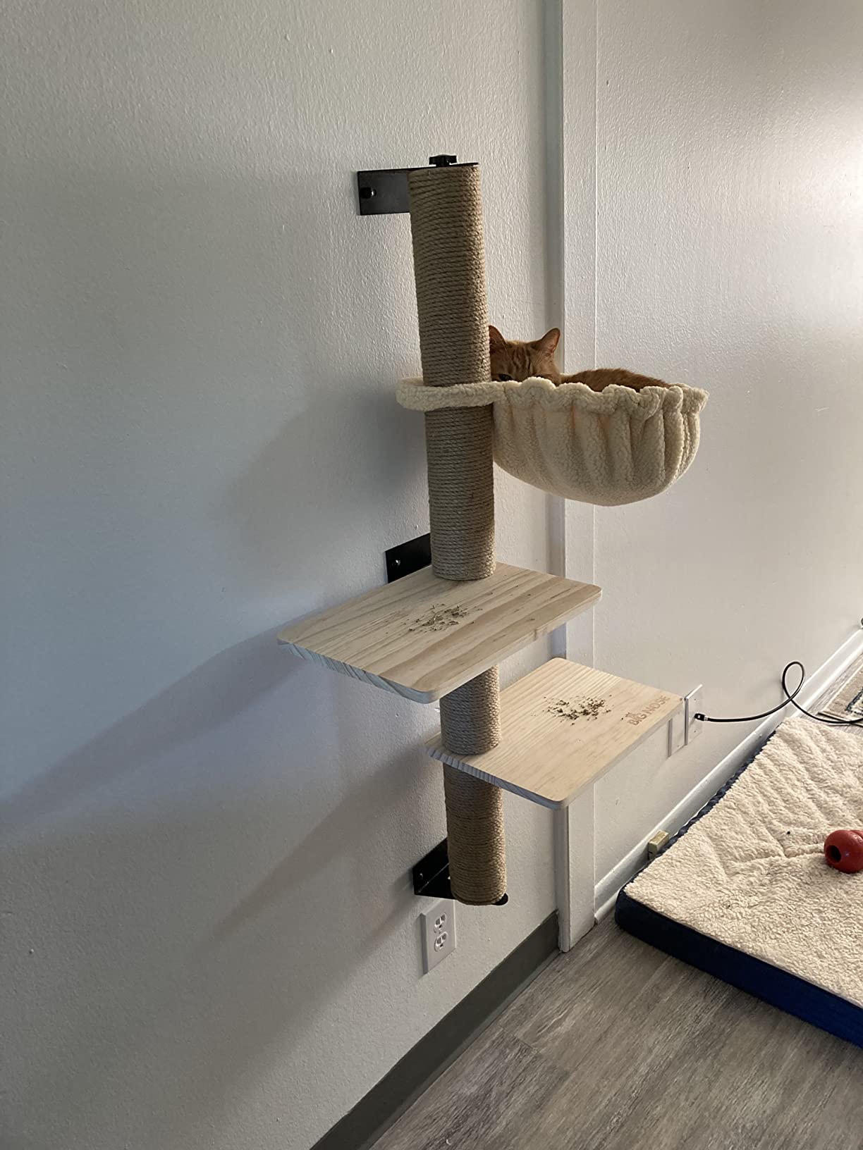 11/mo Finance BIG NOSE Wall Mounted Cat Scratching Post Multi Level