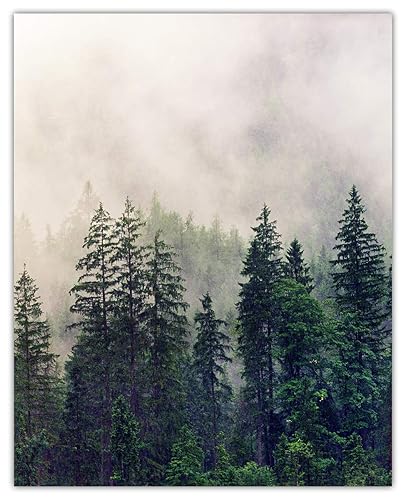 Miniatura 9 de Foggy Forest Abstract Wall Art Minimalist, Aesthetic & Boho Wall Art for Home, Office, Bedroom & Living Room Decor  Unframed Posters 11x14"