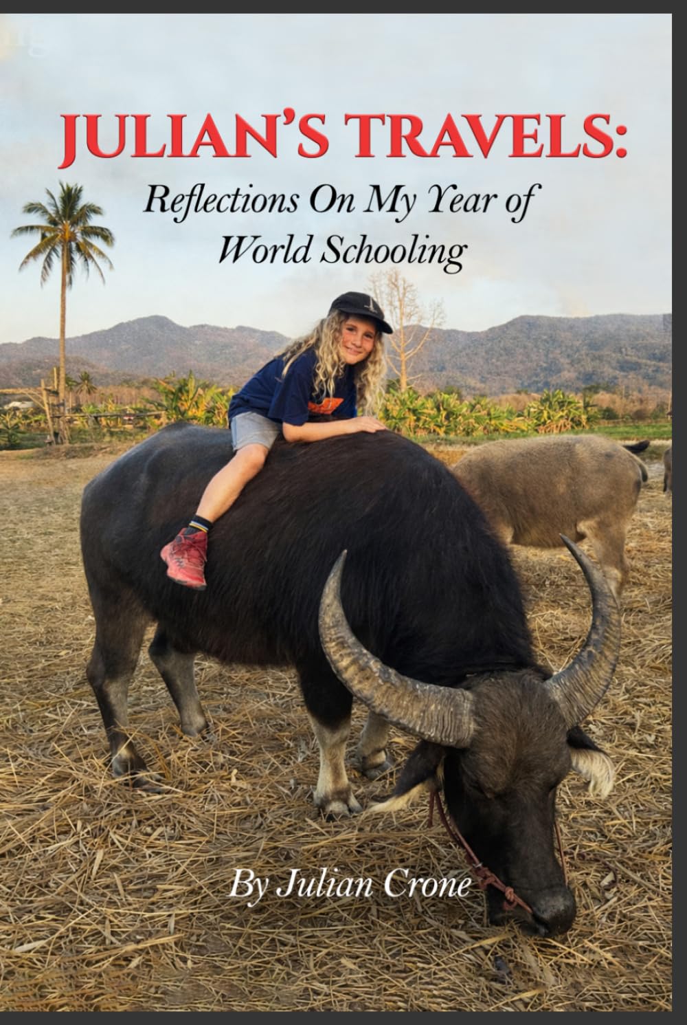 JULIAN’S TRAVELS: Reflections On My Year of World Schooling
