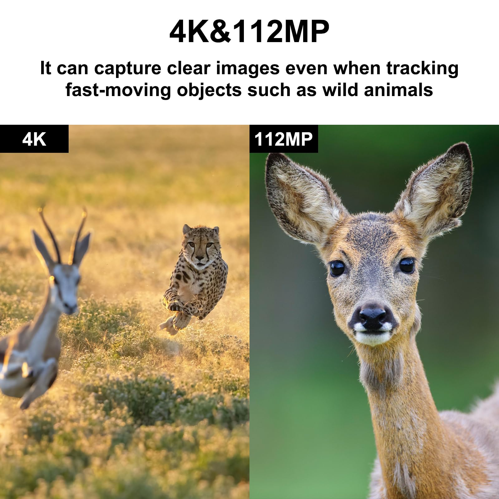4K 48MP Binocolo Visione Notturna, 5000 mAh, Zoom 8X, Portata 400 m, Include Scheda da 64 GB, Schermo da 3" Binocolo Visione Notturna per Campeggio, Caccia e Sicurezza