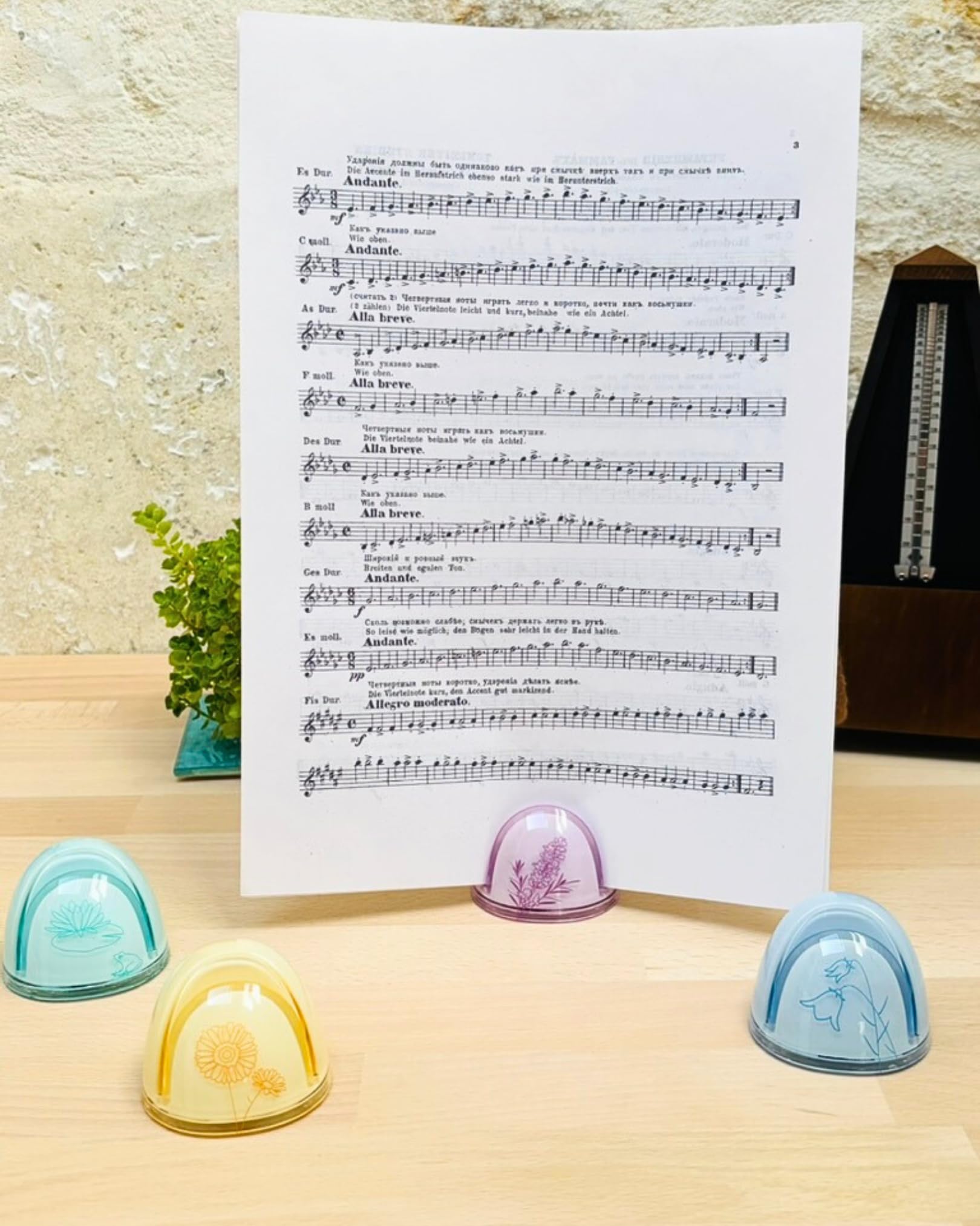 Page'up Original Flower 4 Colori - Forniture per ufficio, accessori per ufficio, cancelleria