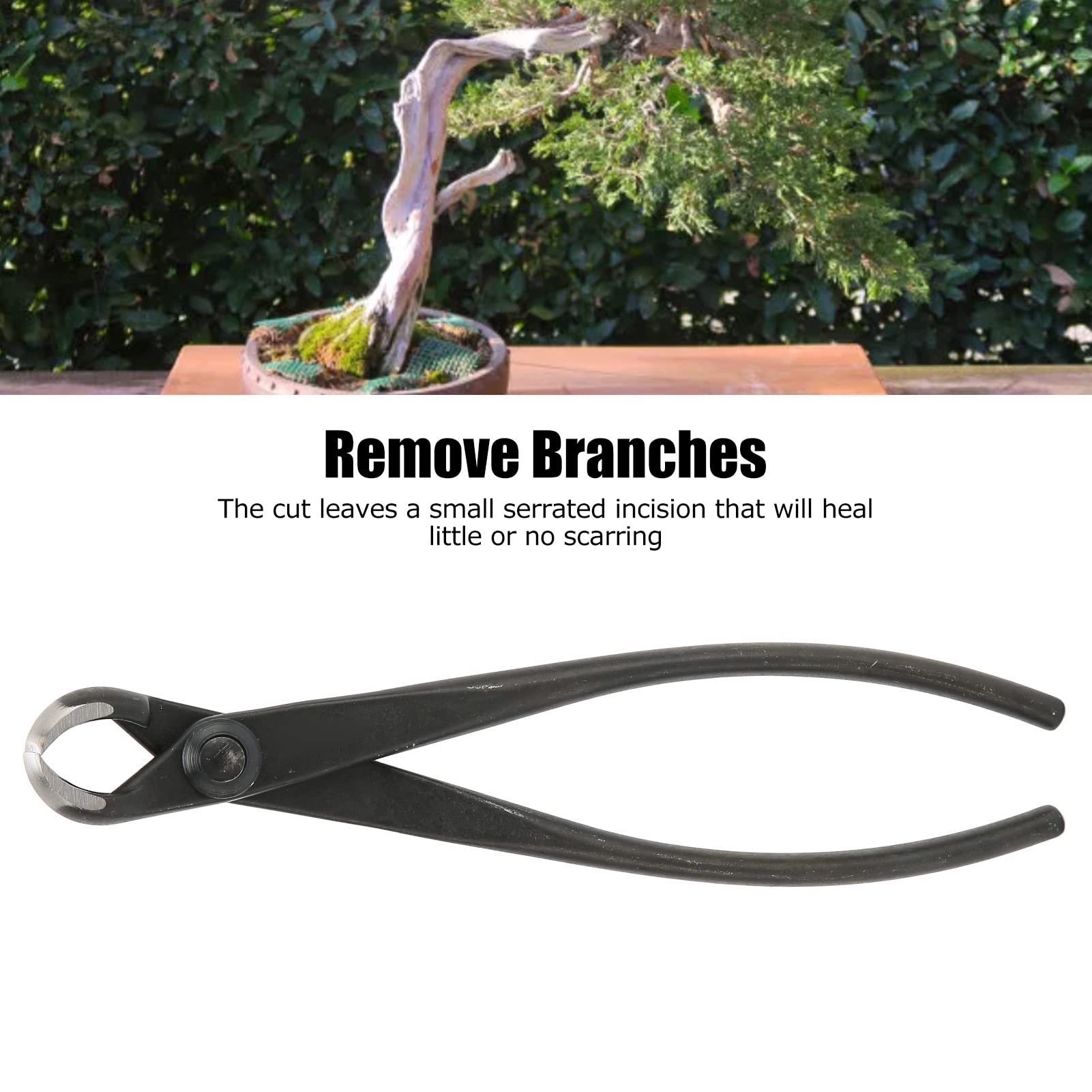 Coupe bonsaï 7 Pouces, Coupe concave en Acier au manganèse, avec poignée Ergonomique, Outil à Main de Jardinage pour Couper Les Branches du Tronc, avec Un Minimum de dommages à l'arbre