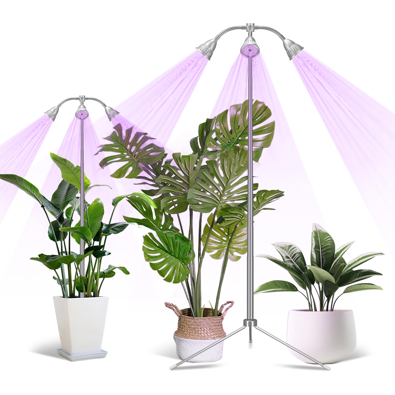 DAZZTIME Lampe De Plante LED 4 Pcs - Intérieur Avec Minuterie 3/9/12 Heures, 10 Niveaux De Luminosité Pour Semis, Succulentes, Végétaux, Floraison (540 LEDs