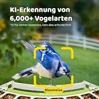 Birdfy Madáretetõ Kamerával, 1080P Éjszakai Látás, Napelemes, Valós Idejû Értesítés 5