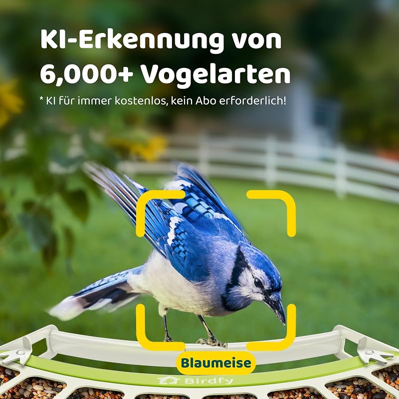 Birdfy Madáretetõ Kamerával, 1080P Éjszakai Látás, Napelemes, Valós Idejû Értesítés
