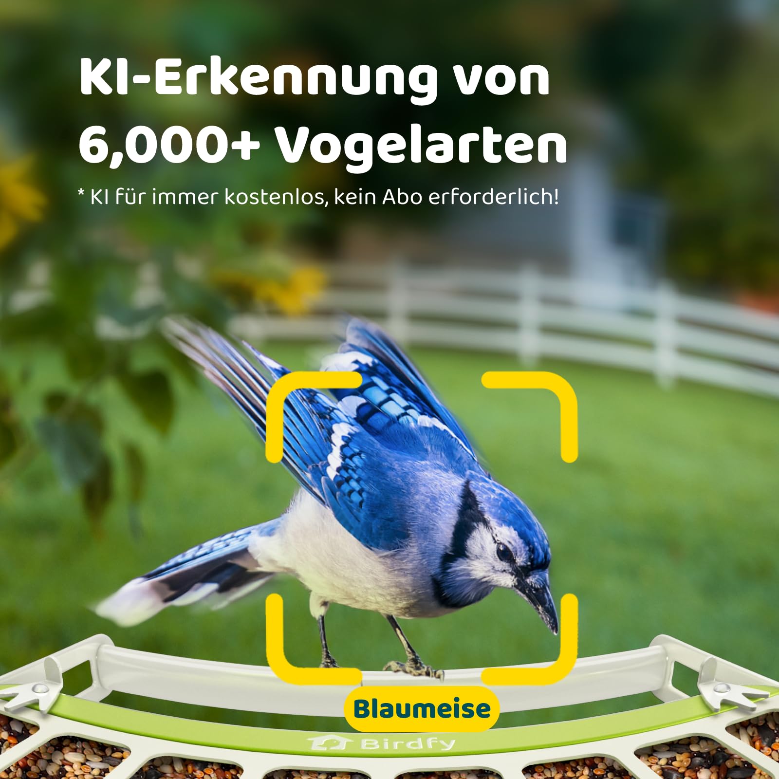 Birdfy Metall Vogelfutterhaus mit Kamera zur Live-Vogelbeobachtung, KI Vogelerkennung ohne ABO, 1080P Kabellos Vogelfutterstation mit Farbnachtsicht, Echtzeit-Benachrichtigung, Solarbetrieb