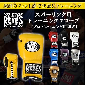 レイジェス(reyer) プロ・アマトレーニング用 レイジェス(reyer) プロ・アマトレーニング用