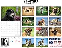 Vista 1426 de Razas de Perros 2017