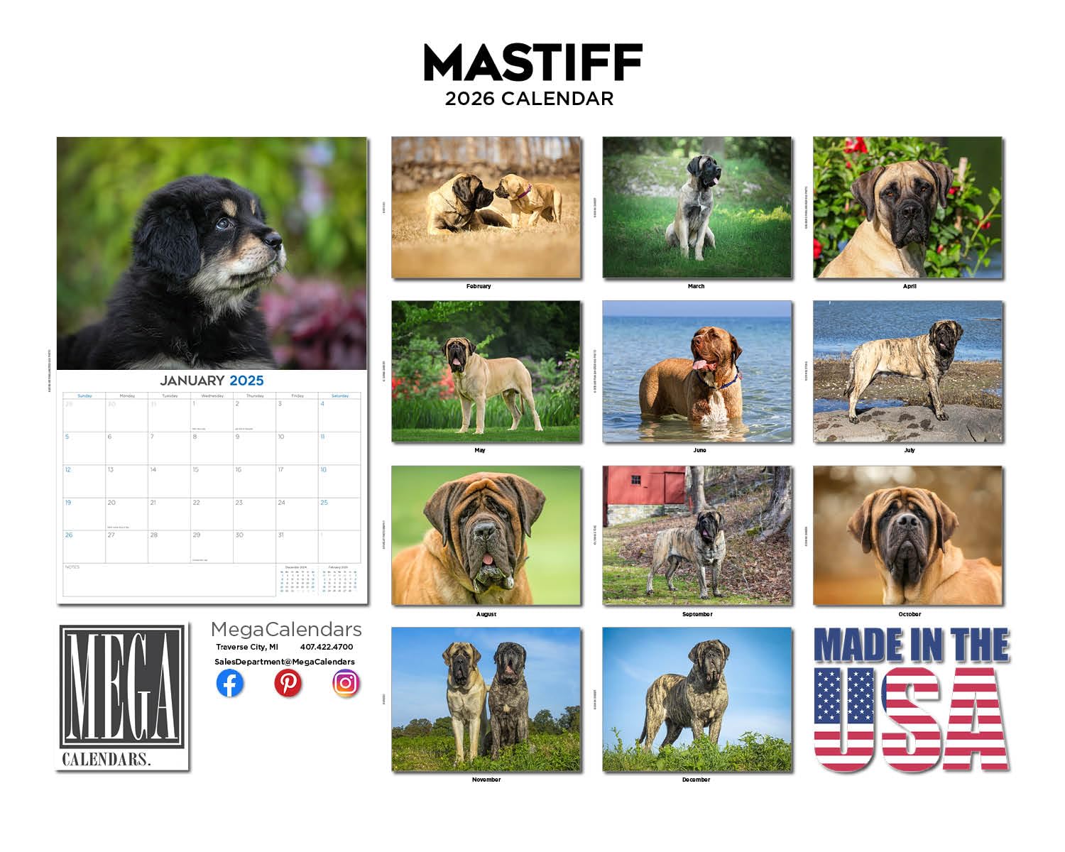 Calendario mensual de pared 2024 2025 de raza de perro, abierto de 12 x 18 pulgadas, papel grueso que no se corre, regalo, planificador académico para profesores, organizador y planificación,