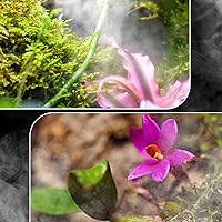 Vista 8 de Repti Zoo Humidificador del reptil 4L, nebulizador grande del tanque del Mister del reptil para el viverario del terrario