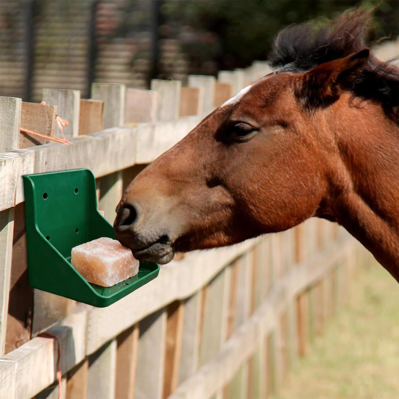 Support pour pierre à lécher au sel de cerf – Accessoire d'alimentation pour animaux sauvages pour l'extérieur | Support de bloc de sel pour cerfs, élans, animaux sauvages, jardin, ferme, arrière-cour