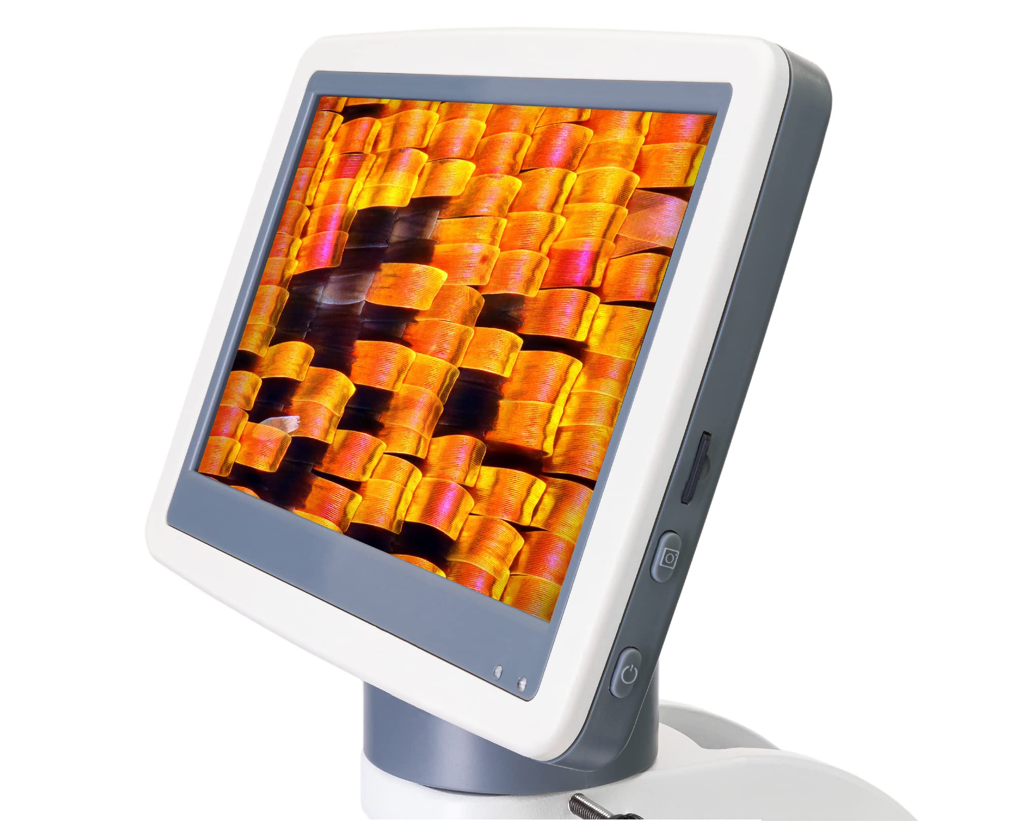 Levenhuk D95L LCD Biologiczny Mikroskop Laboratoryjny z Powiększeniem 40–2000 Razy, Regulowanym Oświetleniem LED i 7-Calowym Ekranem Cyfrowym