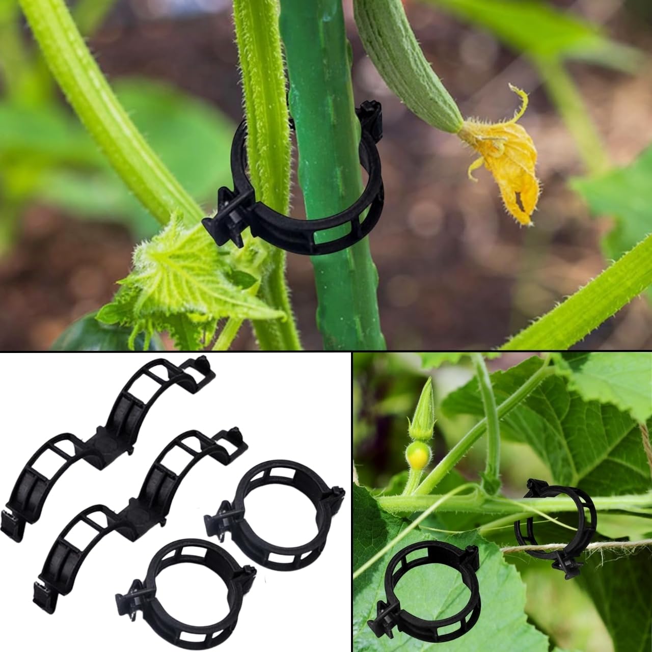 ecofynd 50 Pcs Plant Support Garden Clips, Garden Trellis Clips, Tomato Trellis Clips for Vine, Vegetables, Beans, Fruits, Flower to Grow Upright and Healthier (Black) (B0CTXJD3RZ) Amazon Price History, Amazon Price Tracker