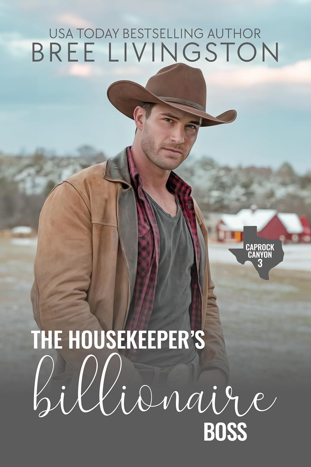 The Housekeeper's Billionaire Boss: A Caprock Canyon Romance Book Three
