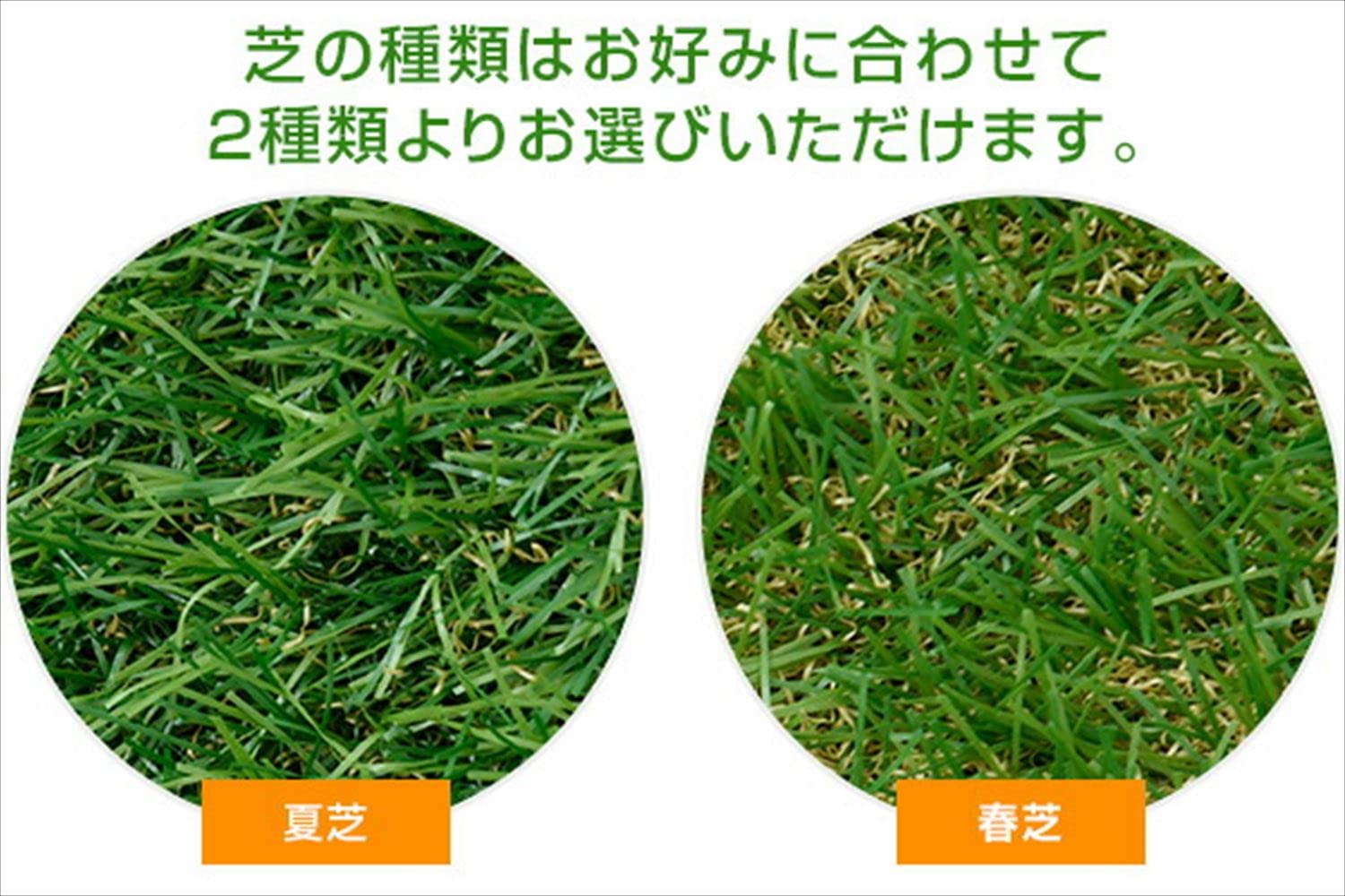Amazon.co.jp: 山善(YAMAZEN) 人工芝 防草シート付き 1m×2m U字固定