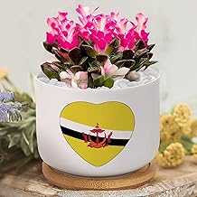 Personalized Planters Ceramic Brunei Flag Small Plant Pot Ceramic Brunei Succulent Pot Flower Pots for Indoor Plants