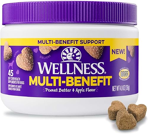 Wellness Suplementos masticables suaves con sabor a mantequilla de maní y manzana para perros, 45 unidades