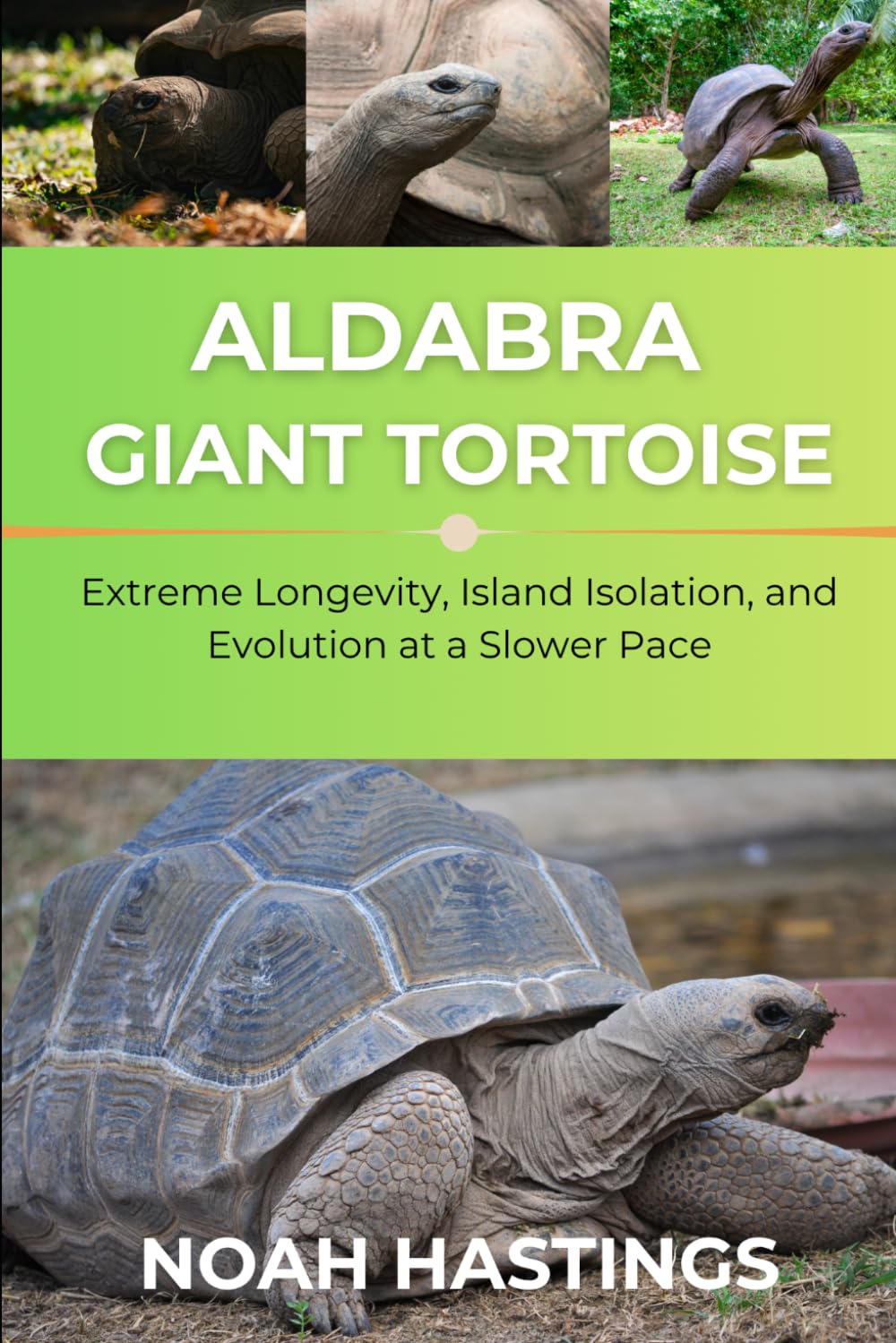ALDABRA GIANT TORTOISE: Extreme Longevity, Island Isolation, and Evolution at a Slower Pace