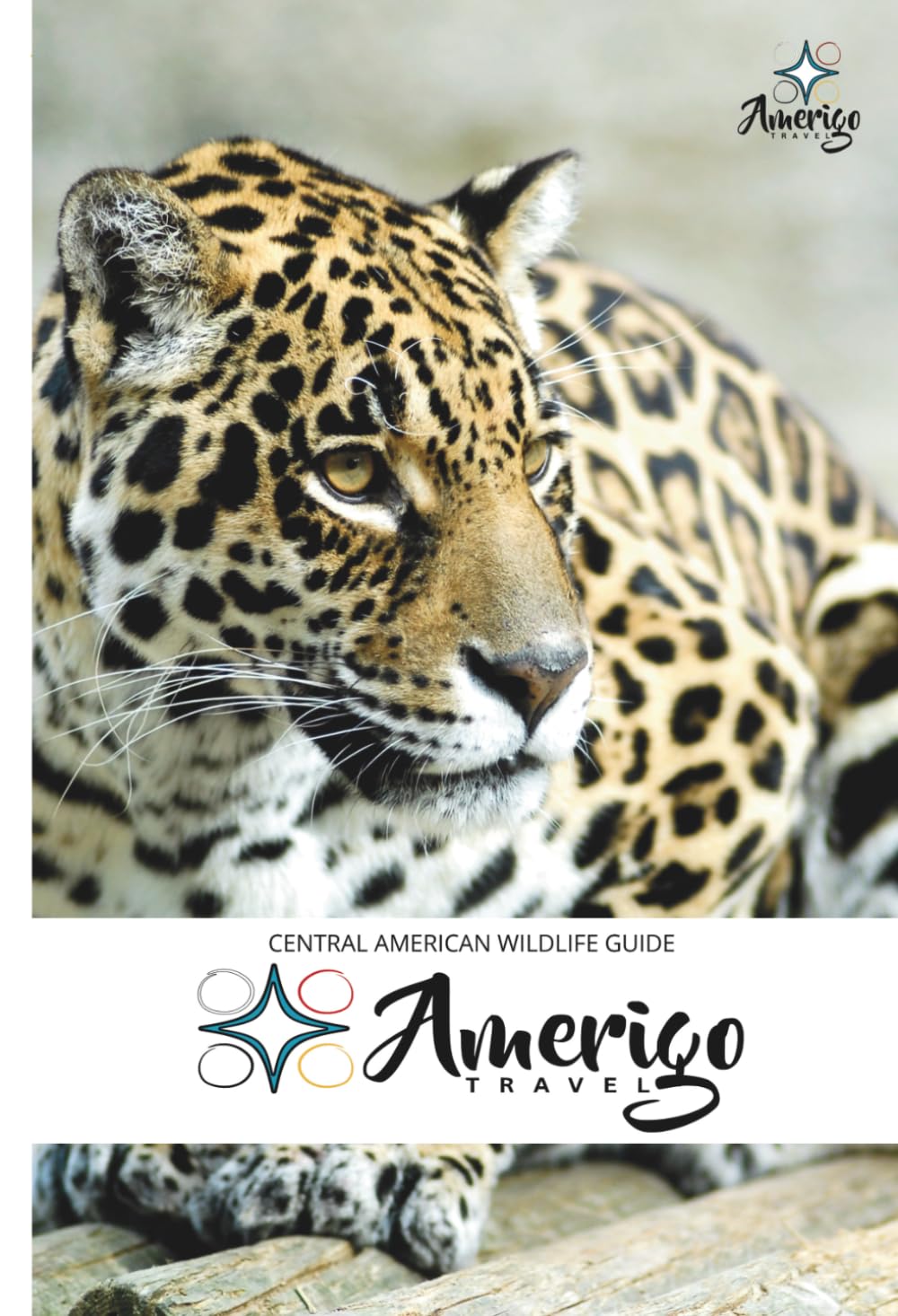 Central American Wildlife: Amerigo Travel