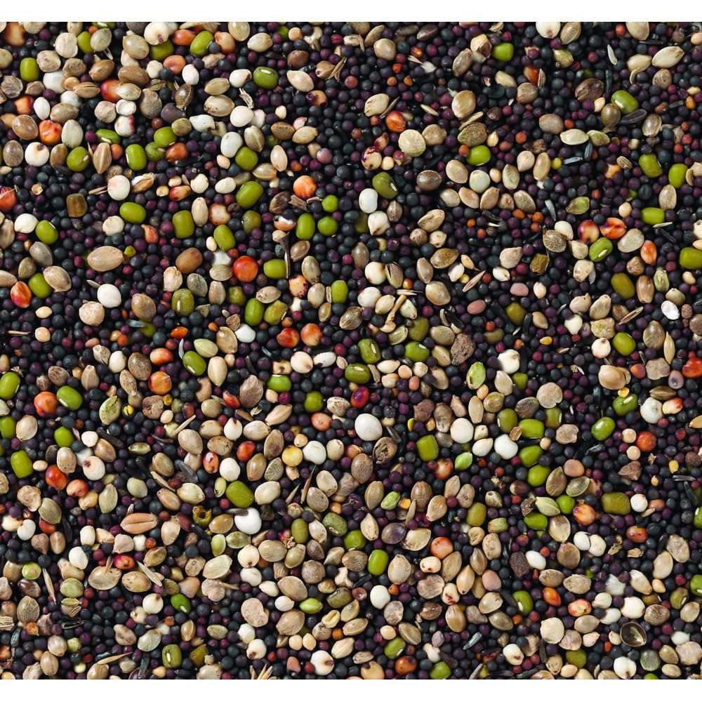 Deli Nature 15-066382 Germination Graines Canaries 20 000 g