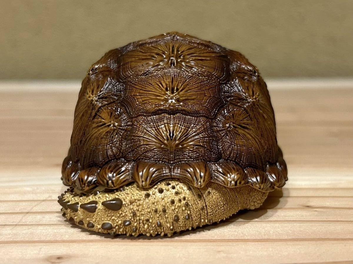 Amazon.co.jp: カミツキガメ（ハイポ）フィギュア 巨頭 爬虫類