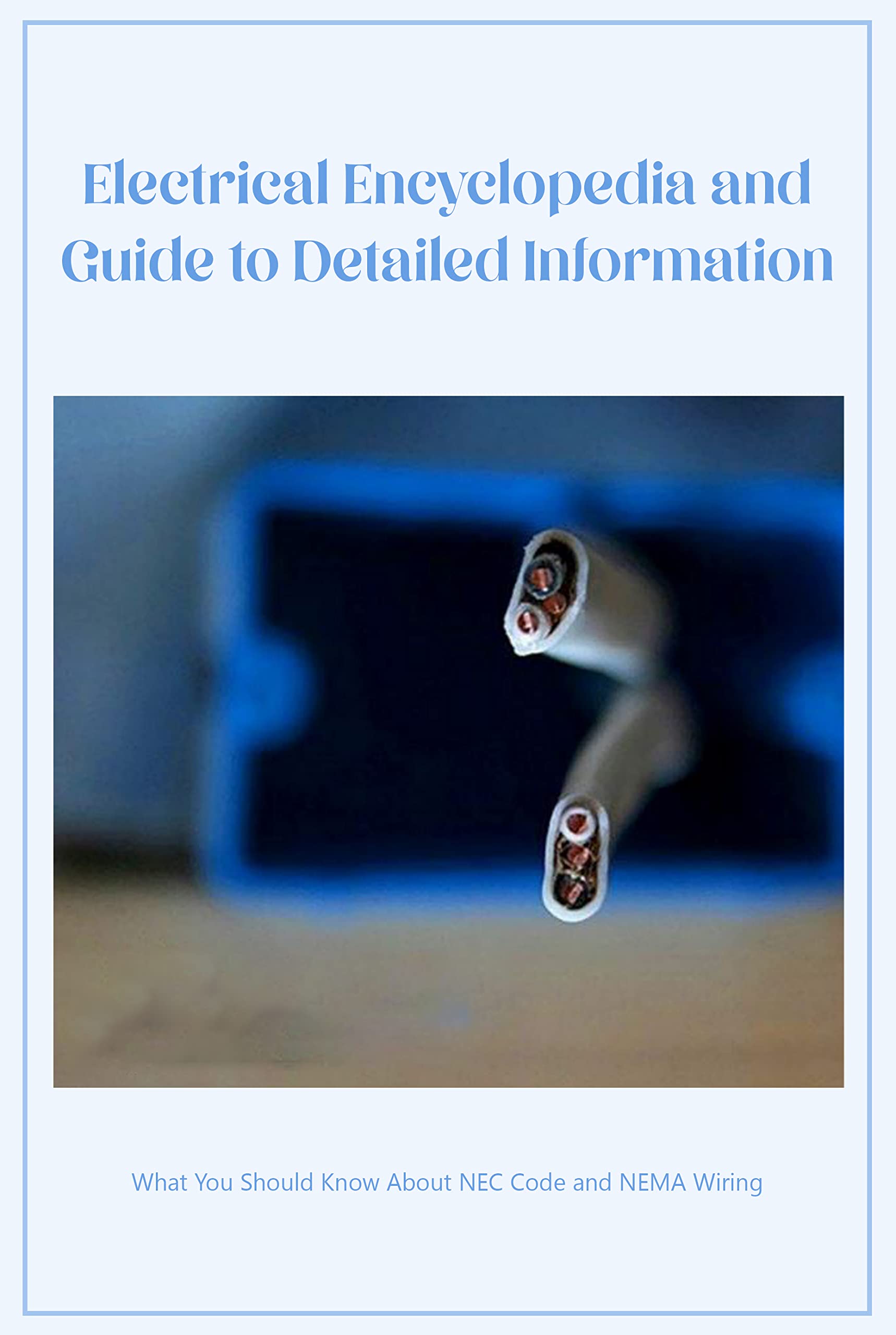 Buy Electrical Encyclopedia and Guide to Detailed Information What You