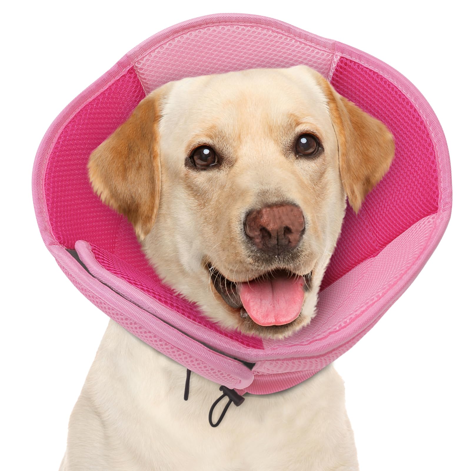 AOFITEE Large Dog Cone