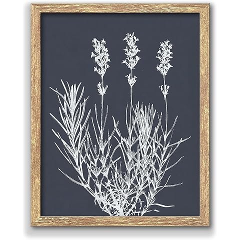 GUMEYJIA Botanical Wall Art Print White Wildflower on Navy Background Rustic Vintage Farmhouse Home Kitchen Wall Decor (Frame 8x10in)