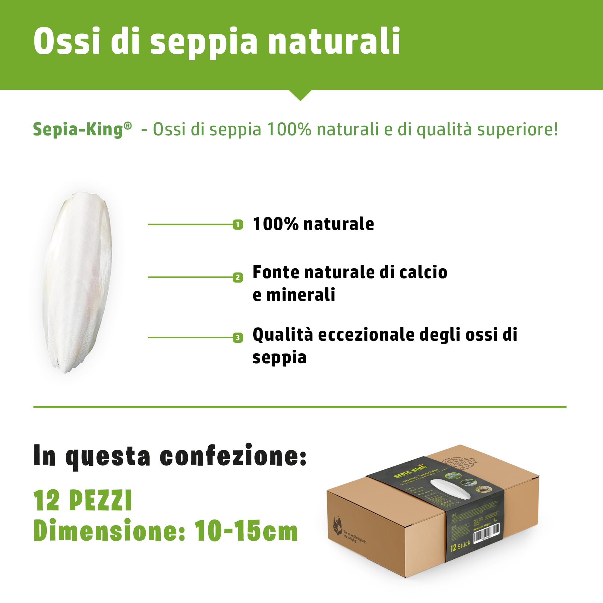 Sepia King - 12 Pezzi Ossi di Seppia per pappagalli, tartarughe, cocorite, canarini, lumache - 10-15cm Osso di seppia 100% naturale - Calcio per rettili, uccelli e invertebrati