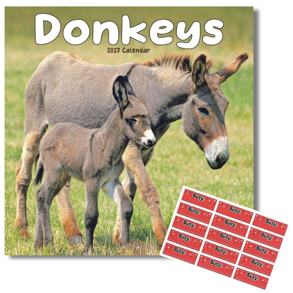 Avonside Donkeys 2027 Square Calendar with Organisational Stickers