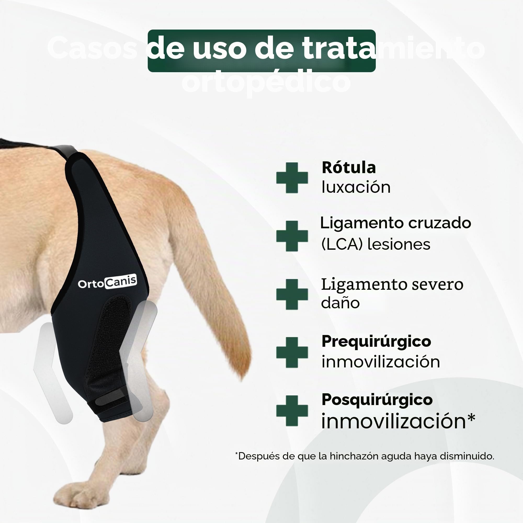 Ortocanis - Inmovilizador de Rodilla para Perro - Rodillera para Pierna Izquierda - Lesiones, Rotura de Ligamentos, Luxación de Rótula y Postoperatorio - Neopreno Especial - Talla: L de 33 a 36 cm