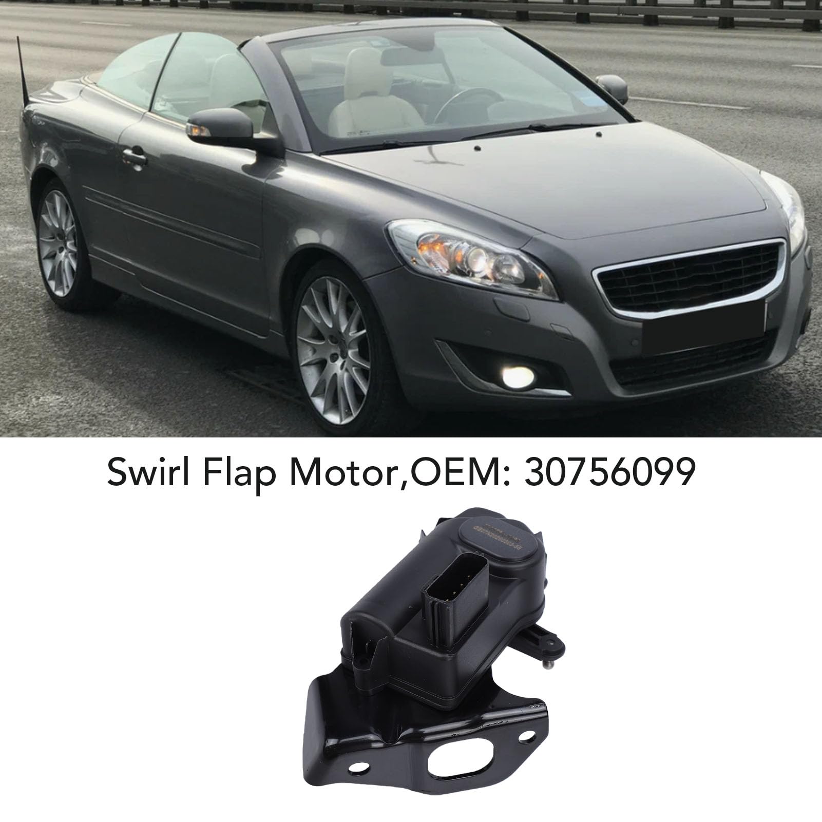 Swirl Flap Actuator, Intake Manifold Motor