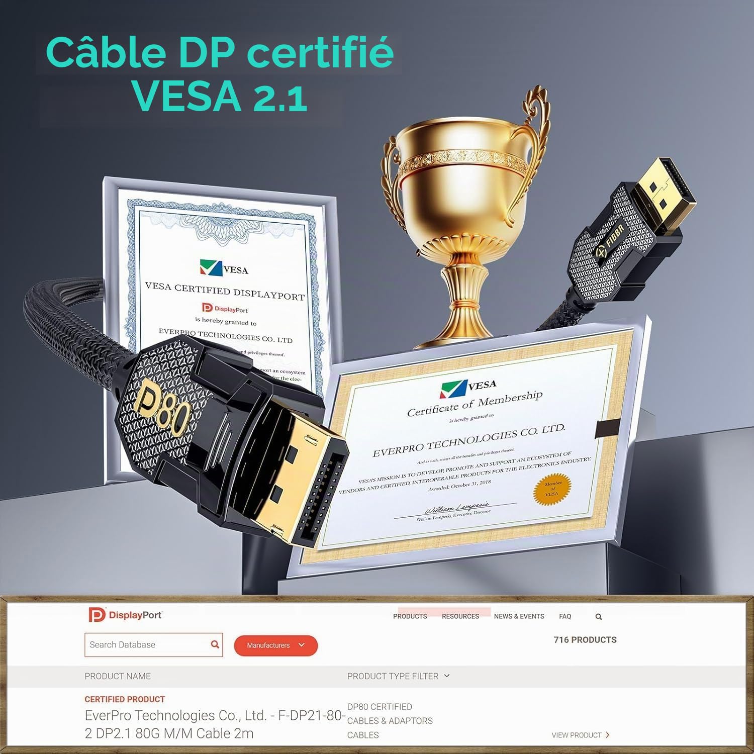 FIBBR 80Gbps Câble Displayport 2M, [VESA Certifié] Displayport 2.1 Câble Cuivre, 16K@60Hz 8K@240Hz 4K@540Hz Support 3D, HDR, Haute Vitesse DP Câble Convient pour Moniteur de Jeu, RTX 5090, RX 9070