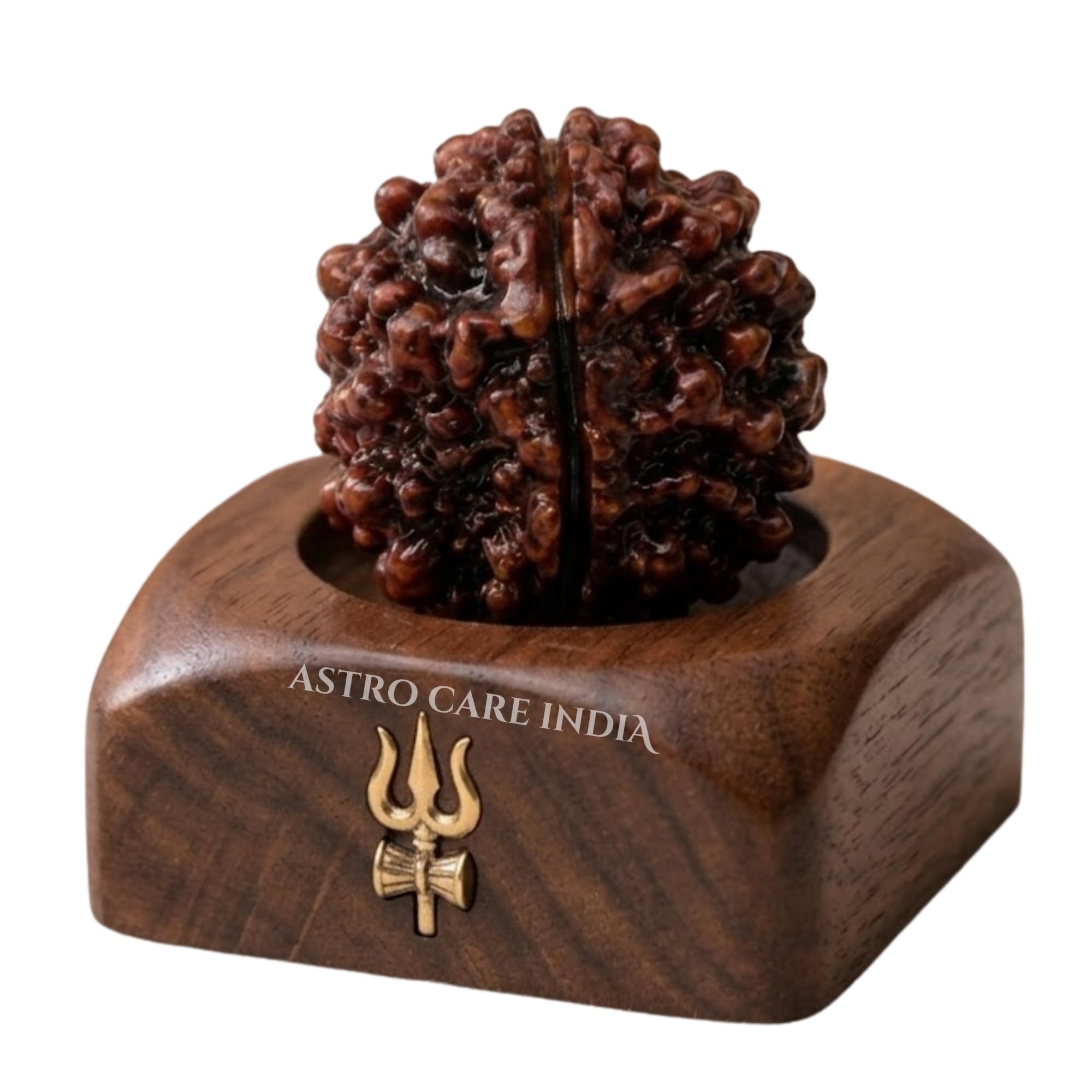 astro care india 1 Mukhi Rudraksha Original Certified Nepali GOL Dana Beautiful Round Excellent One Face Rudraksha | Ek Mukhi Rudraksh Beads with Lab Certificate-picture-45